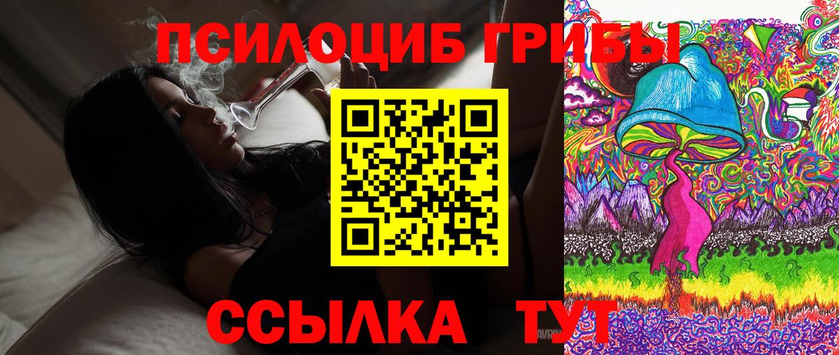 Псилоцибиновые грибы Cubensis Курск