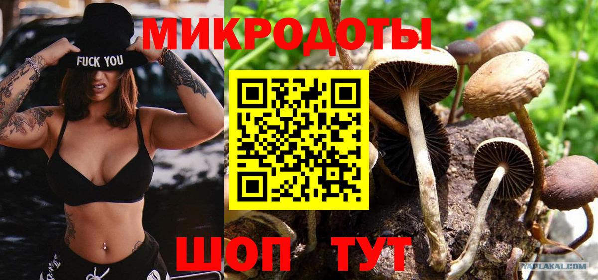 где продают наркотики  Галлюциногенные грибы Cubensis  Вход с VPN  Курск  Псилоцибиновые грибы MAGIC MUSHROOMS 